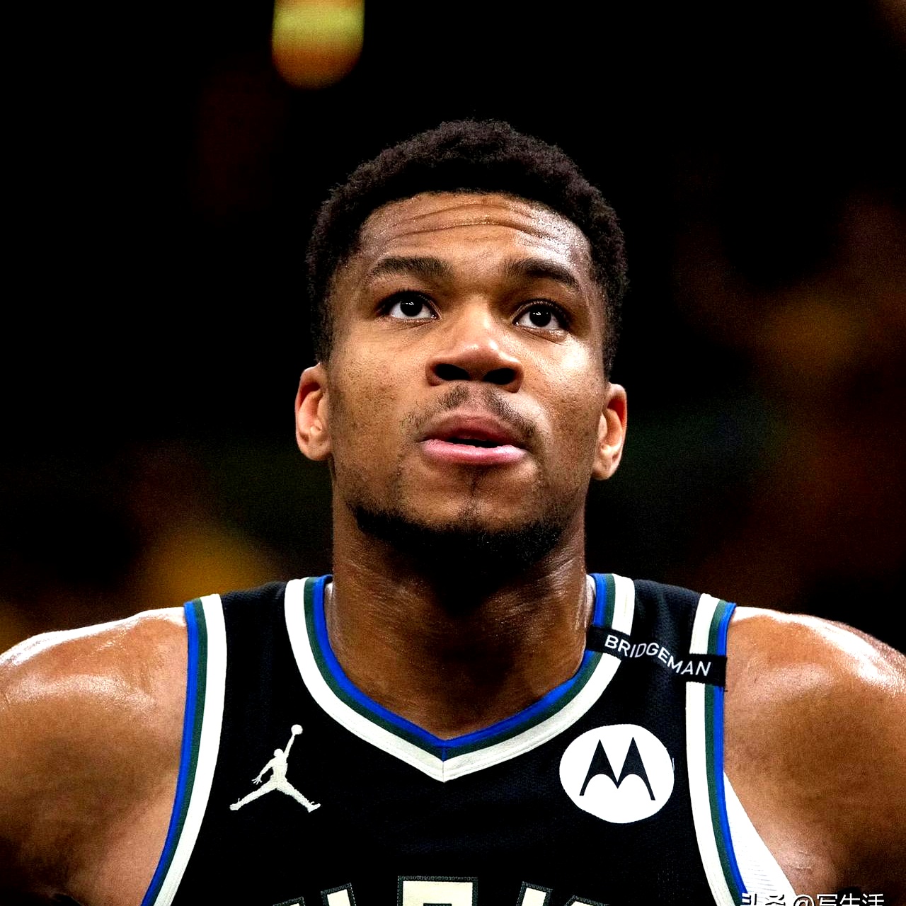 爱游戏APP-字母哥新星锐不可当表现突出，老鹰前途光明！